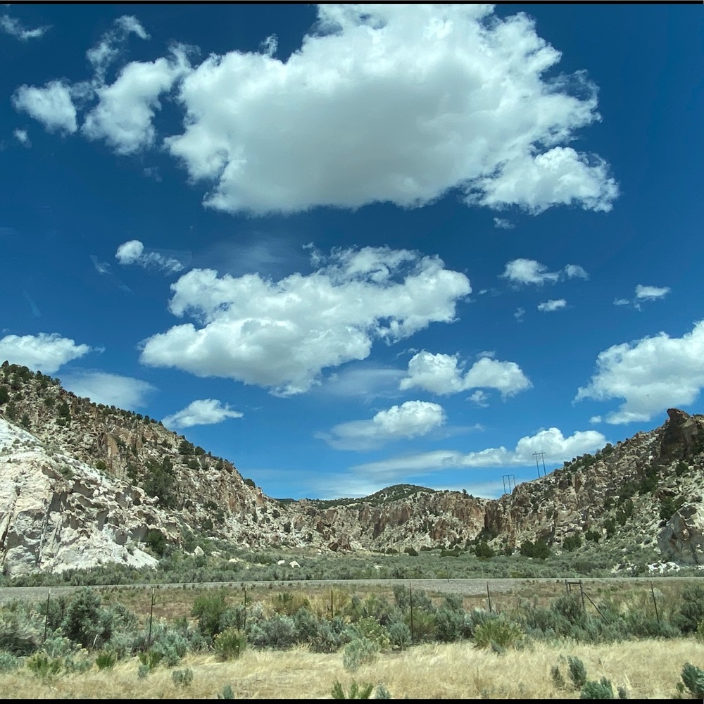 Meet your Posher, Peggy